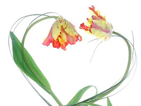 Relacionamento Amoroso